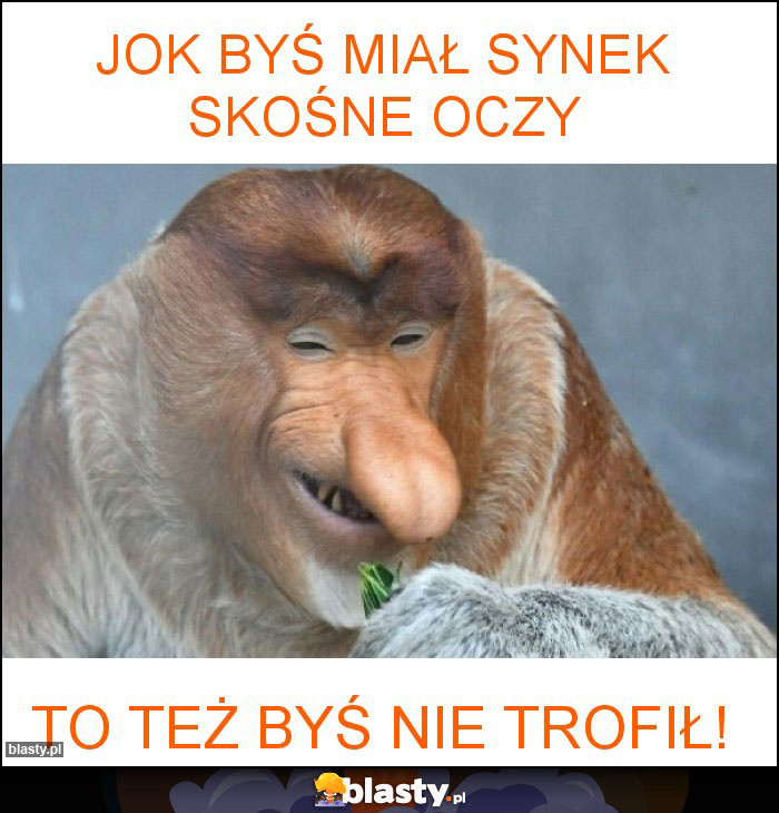 Jok byś miał synek skośne oczy Jok byś miał synek skośne oczy