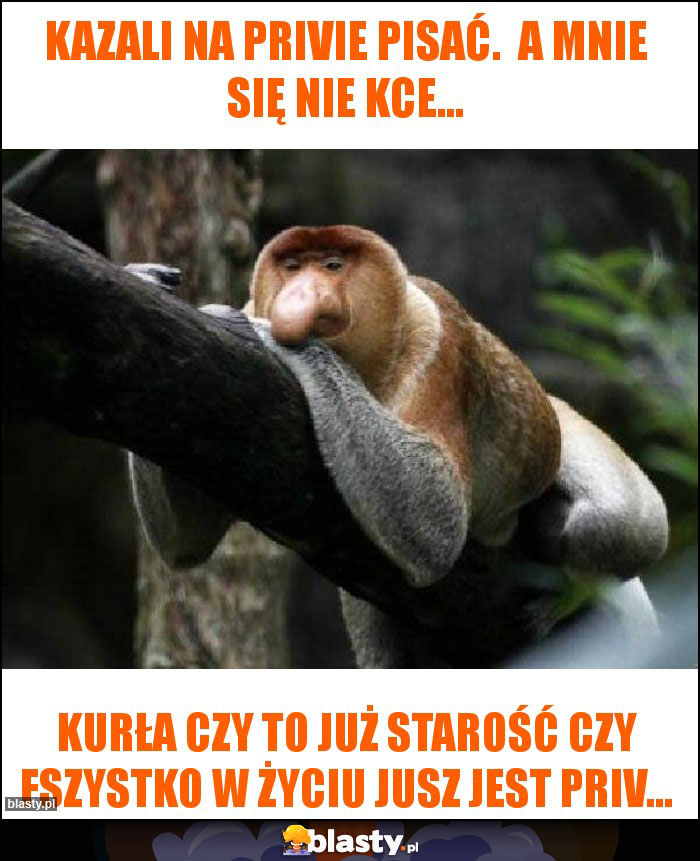 Kazali na privie pisać.  A mnie się nie kce...