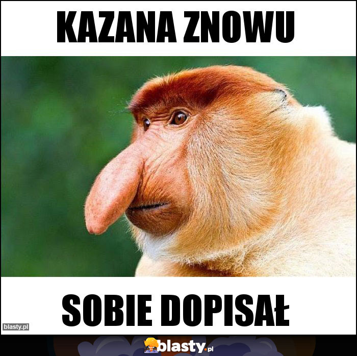 Kazana znowu Kazana znowu