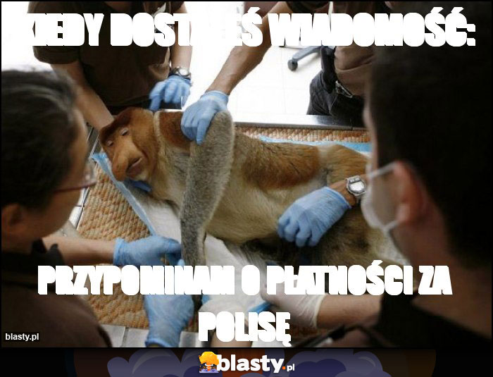 Kiedy dostałeś wiadomość: Kiedy dostałeś wiadomość: