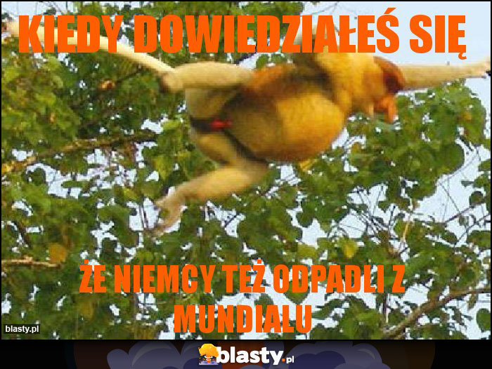 kiedy dowiedziałeś się kiedy dowiedziałeś się