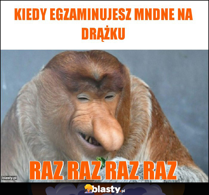 Kiedy egzaminujesz mndne na drążku Kiedy egzaminujesz mndne na drążku