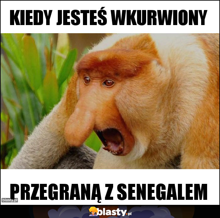 Kiedy jesteś wkurwiony Kiedy jesteś wkurwiony