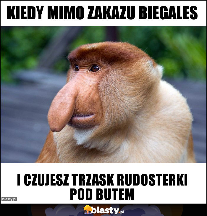 Kiedy mimo zakazu biegales Kiedy mimo zakazu biegales