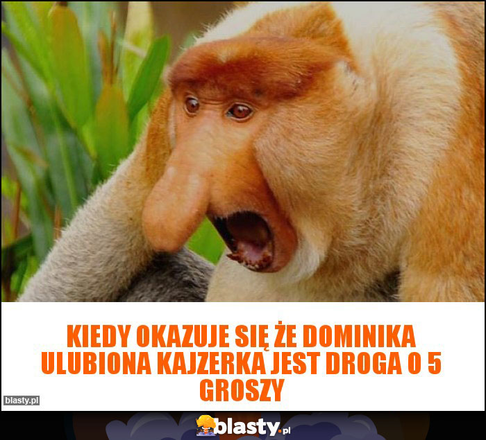 Kiedy okazuje się że Dominika ulubiona kajzerka jest droga o 5 groszy Kiedy okazuje się że Dominika ulubiona kajzerka jest droga o 5 groszy