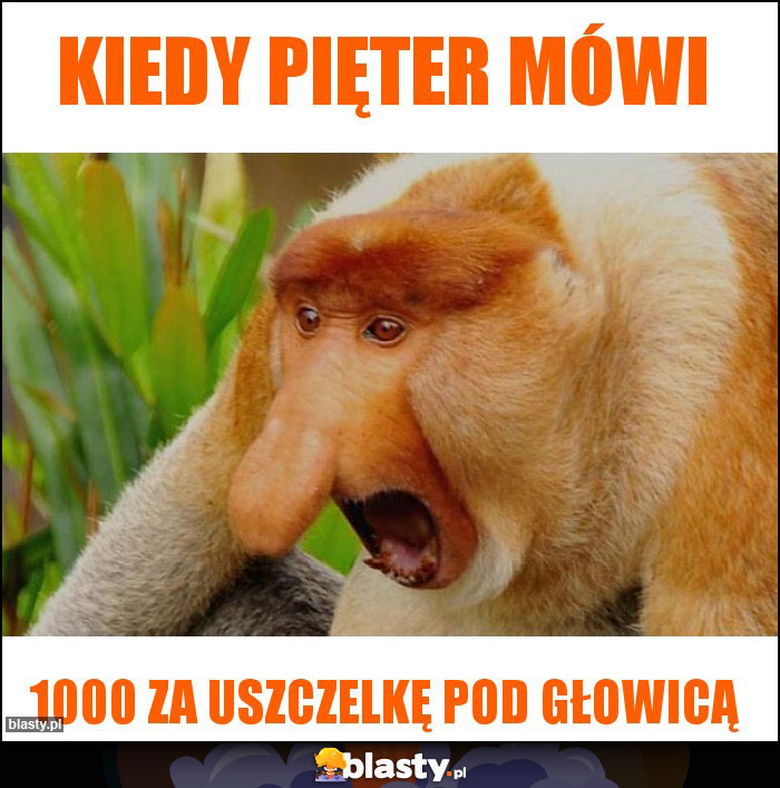 Kiedy pięter mówi Kiedy pięter mówi
