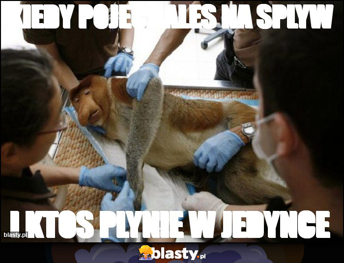 kiedy pojechales na splyw kiedy pojechales na splyw