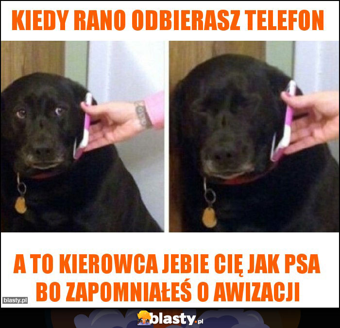 Kiedy rano odbierasz telefon Kiedy rano odbierasz telefon