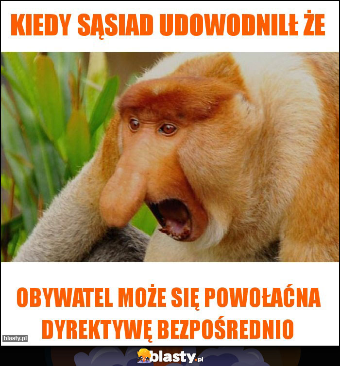 Kiedy sąsiad udowodnilł że Kiedy sąsiad udowodnilł że