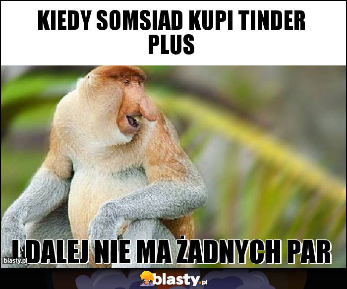kiedy somsiad kupi tinder plus kiedy somsiad kupi tinder plus