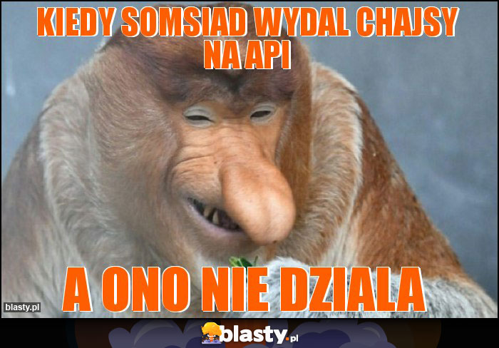 kiedy somsiad wydal chajsy na api kiedy somsiad wydal chajsy na api