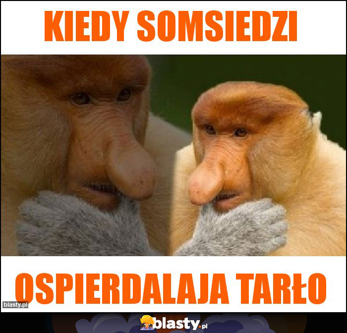 KIEDY SOMSIEDZI KIEDY SOMSIEDZI