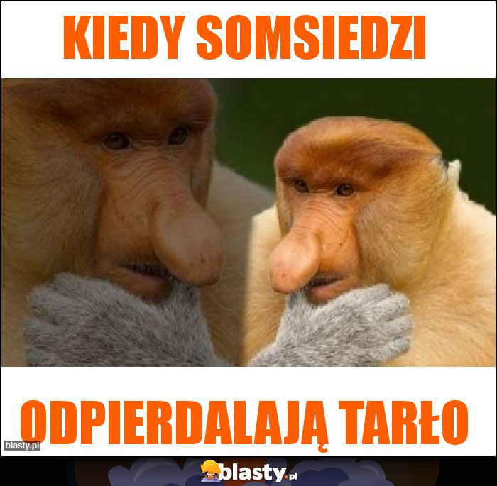 KIEDY SOMSIEDZI KIEDY SOMSIEDZI