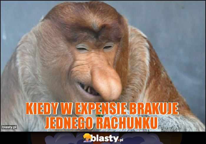 KIedy w expensie brakuje jednego rachunku KIedy w expensie brakuje jednego rachunku
