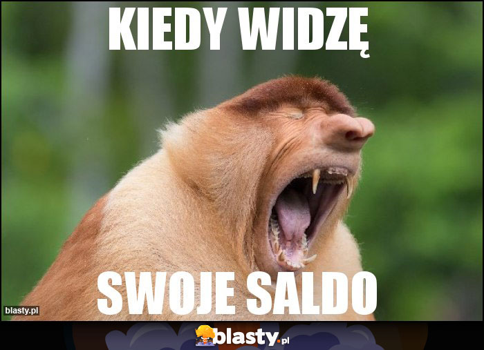 KIEDY WIDZĘ KIEDY WIDZĘ