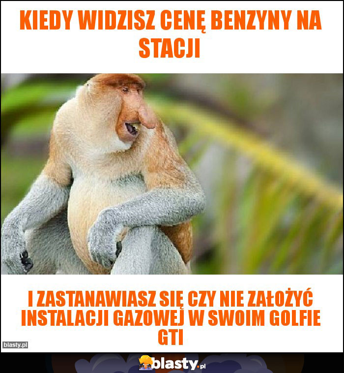 KIEDY WIDZISZ CENĘ BENZYNY NA STACJI KIEDY WIDZISZ CENĘ BENZYNY NA STACJI