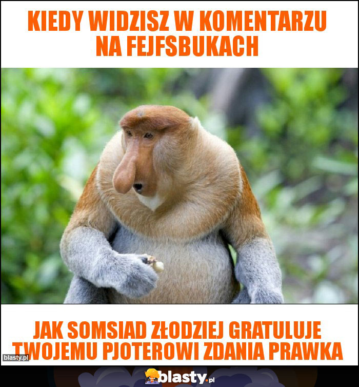Kiedy widzisz w komentarzu na fejfsbukach Kiedy widzisz w komentarzu na fejfsbukach