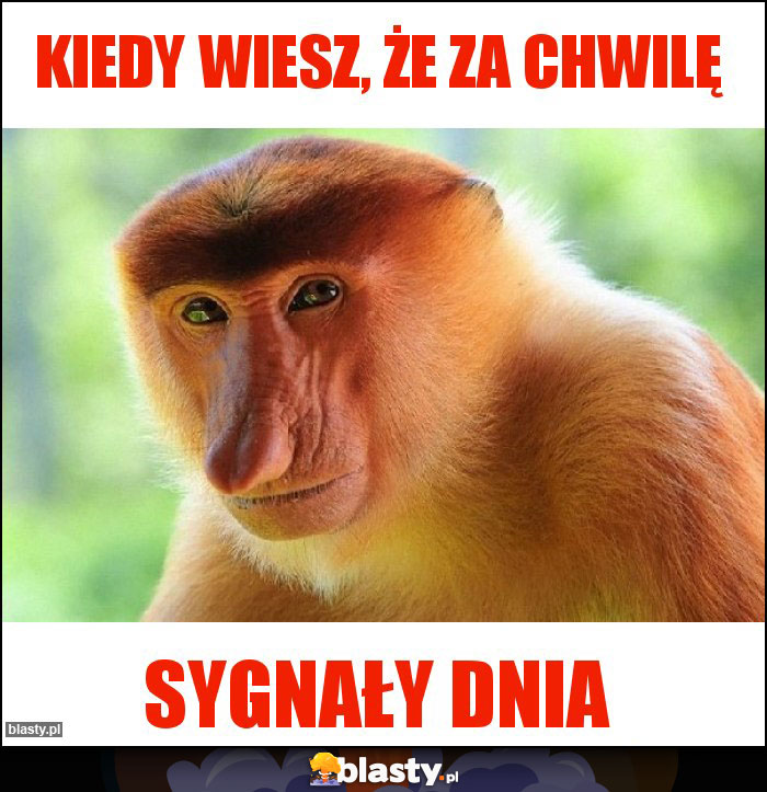 Kiedy wiesz, że za chwilę Kiedy wiesz, że za chwilę