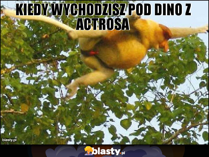 Kiedy wychodzisz pod dino z actrosa Kiedy wychodzisz pod dino z actrosa
