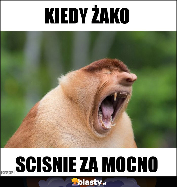 Kiedy Żako Kiedy Żako