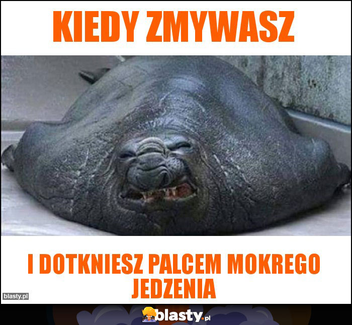 Kiedy zmywasz