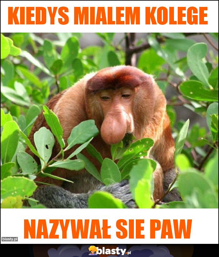 Kiedys mialem kolege Kiedys mialem kolege