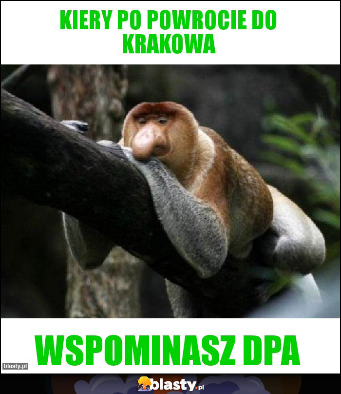 Kiery po powrocie do Krakowa Kiery po powrocie do Krakowa