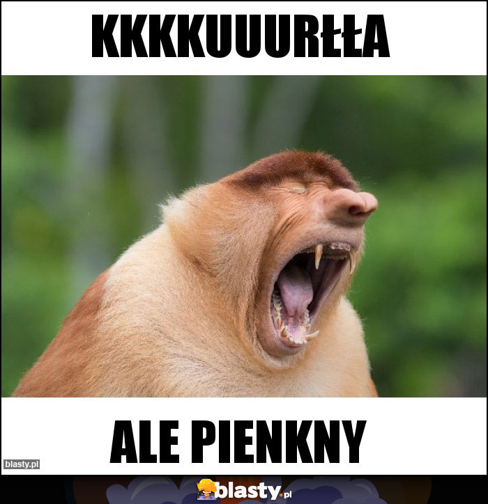 Kkkkuuurłła Kkkkuuurłła