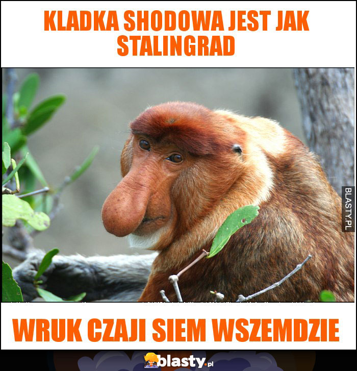 kladka shodowa jest jak stalingrad kladka shodowa jest jak stalingrad
