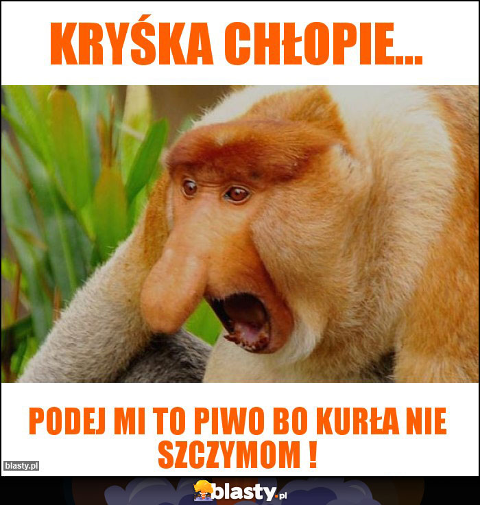 Kryśka chłopie...