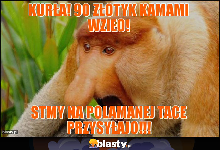 KURŁA! 90 ZŁOTYK KAMAMI WZIEO! KURŁA! 90 ZŁOTYK KAMAMI WZIEO!