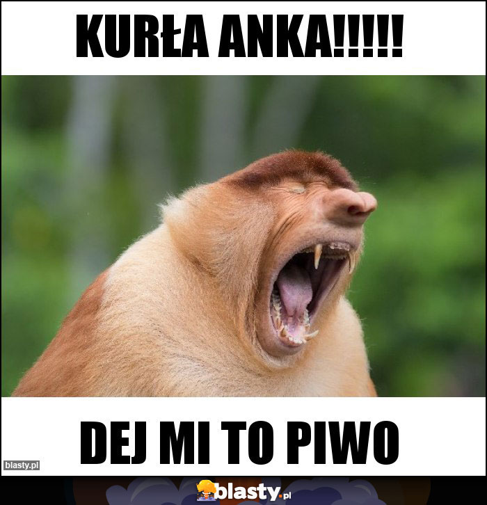 KURŁA ANKA!!!!! KURŁA ANKA!!!!!