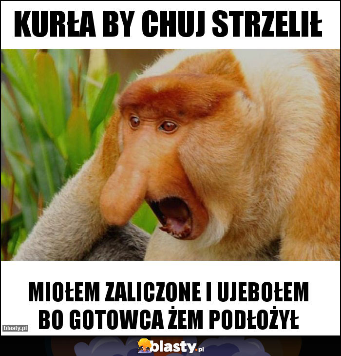 kurła by chuj strzelił kurła by chuj strzelił