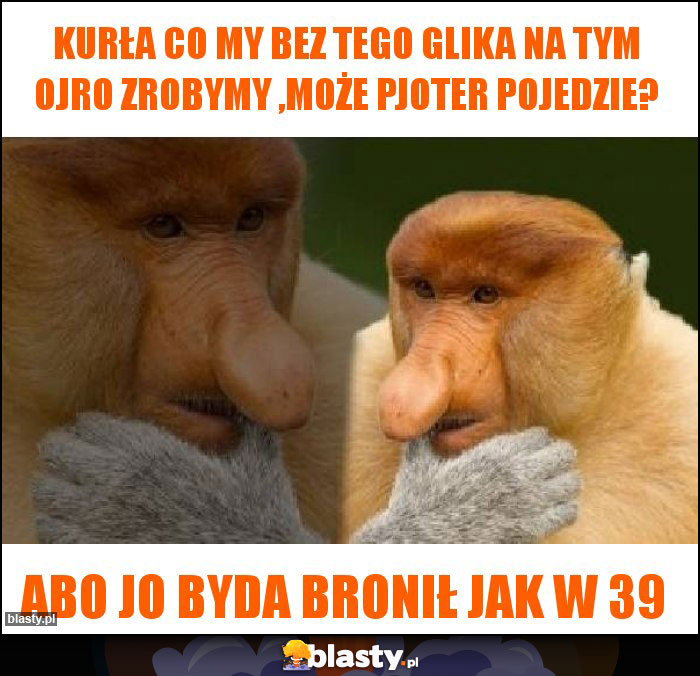 KURŁA CO MY BEZ TEGO GLIKA NA TYM OJRO ZROBYMY ,MOŻE PJOTER POJEDZIE? KURŁA CO MY BEZ TEGO GLIKA NA TYM OJRO ZROBYMY ,MOŻE PJOTER POJEDZIE?