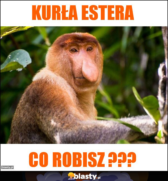 Kurła estera Kurła estera
