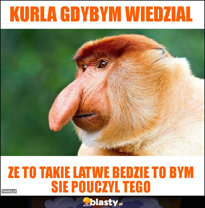 Kurla gdybym wiedzial Kurla gdybym wiedzial