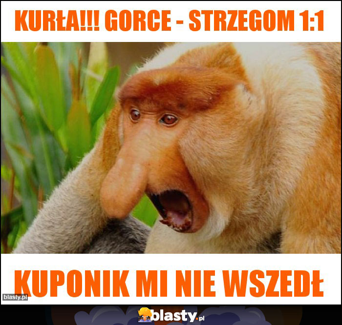 Kurła!!! Gorce - Strzegom 1:1 Kurła!!! Gorce - Strzegom 1:1