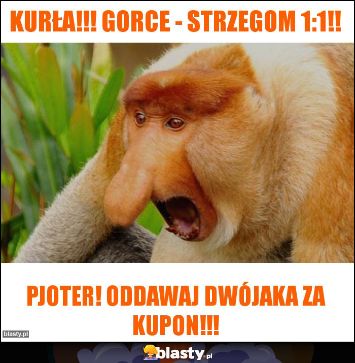 Kurła!!! Gorce - strzegom 1:1!! Kurła!!! Gorce - strzegom 1:1!!