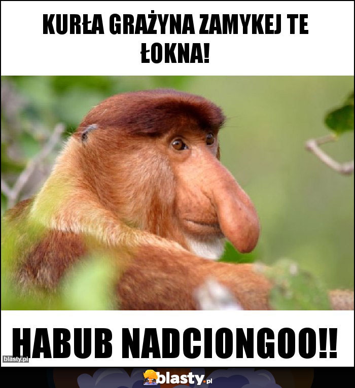 Kurła grażyna zamykej te łokna! Kurła grażyna zamykej te łokna!