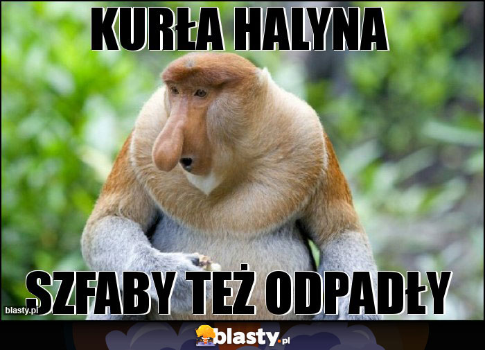 KURŁA HALYNA KURŁA HALYNA