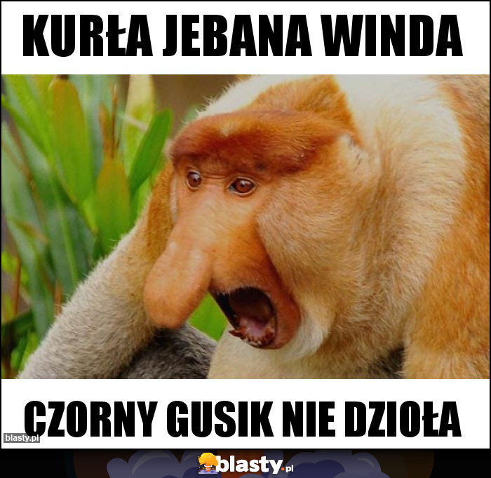 Kurła jebana winda Kurła jebana winda