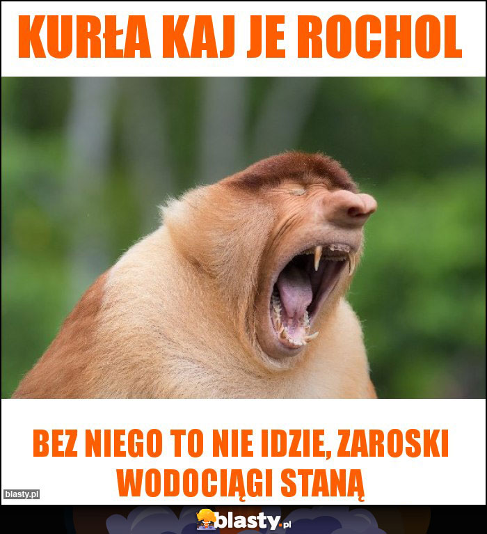 Kurła kaj je rochol Kurła kaj je rochol