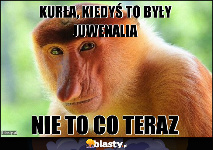 Kurła, kiedyś to były Juwenalia Kurła, kiedyś to były Juwenalia