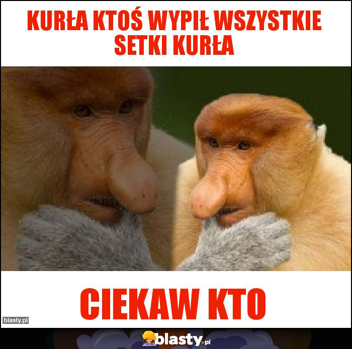 kurła ktoś wypił wszystkie setki kurła kurła ktoś wypił wszystkie setki kurła