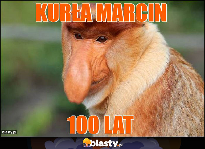 Kurła Marcin Kurła Marcin