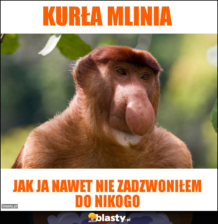 Kurła mLinia Kurła mLinia