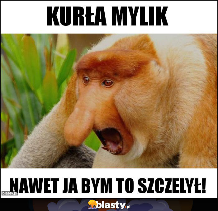 Kurła mylik Kurła mylik