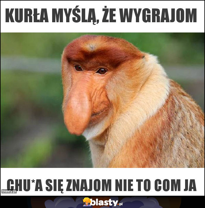 Kurła myślą, że wygrajom Kurła myślą, że wygrajom
