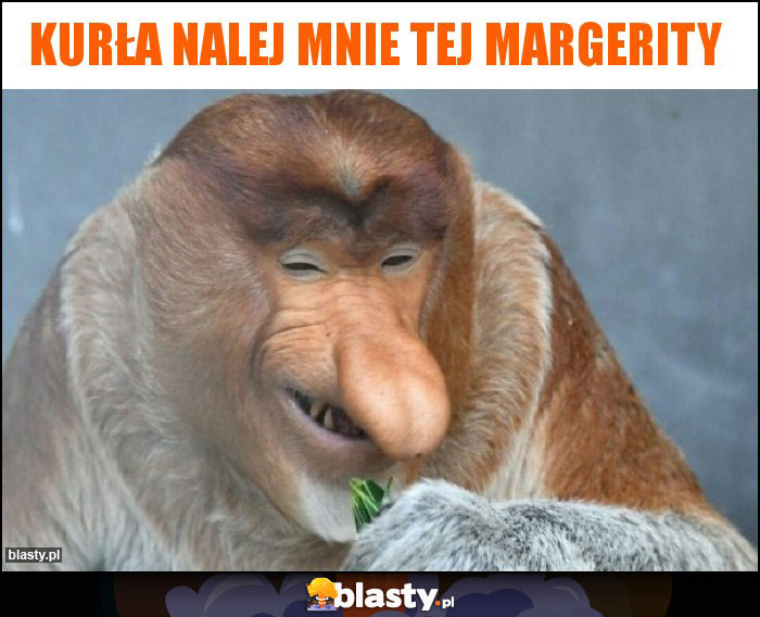 Kurła nalej mnie tej margerity Kurła nalej mnie tej margerity