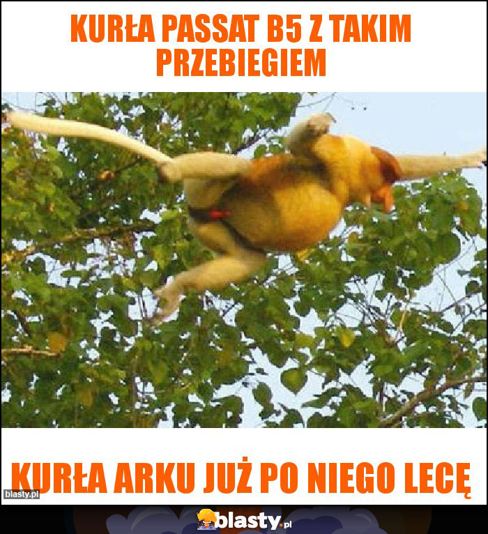 Kurła Passat B5 z takim przebiegiem Kurła Passat B5 z takim przebiegiem